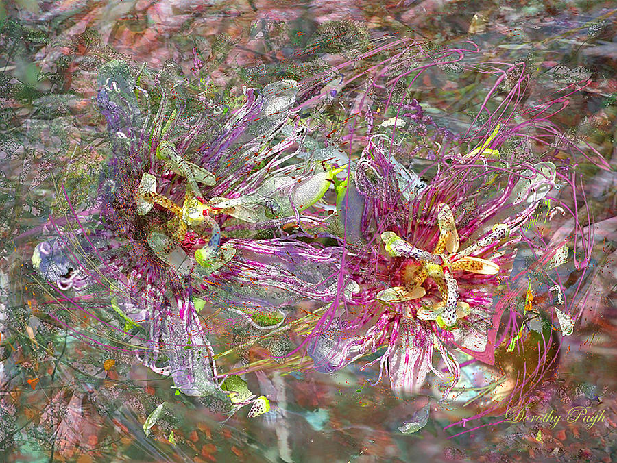 Flower Digital Art - Storm in the Garden by Dorothy  Pugh