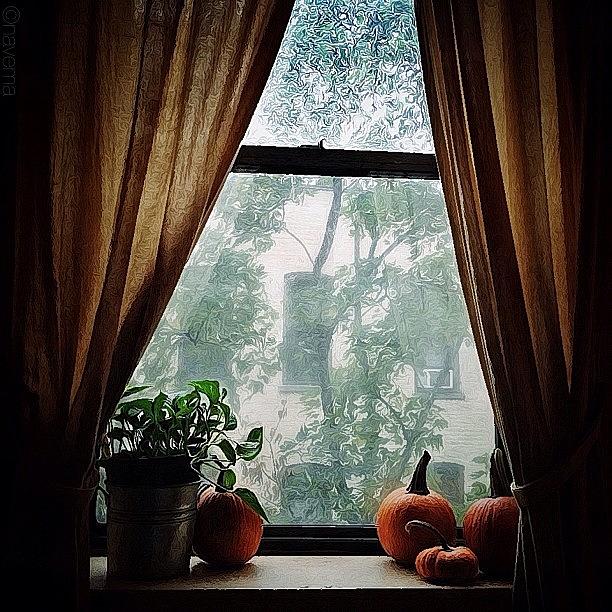 Halloween Photograph - Storm Outside...safe Inside by Natasha Marco