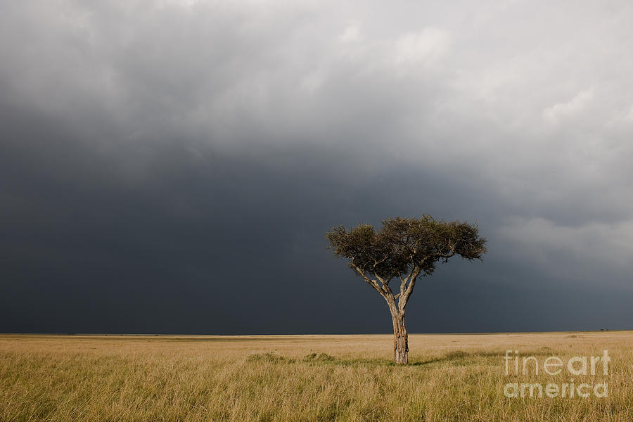 Storm Over Masai Mara, Kenya Photograph by John Shaw