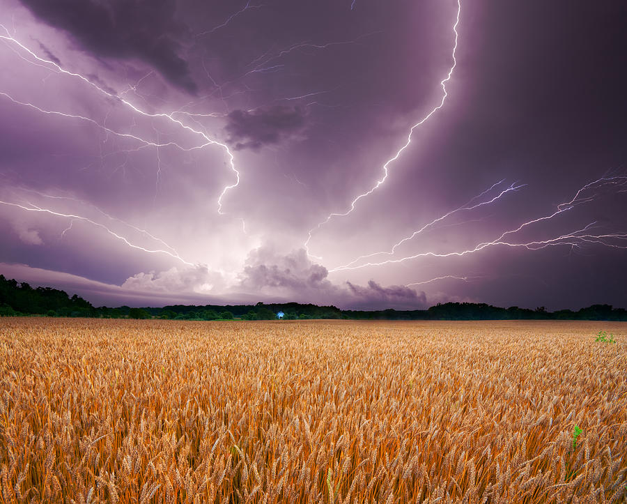 Storm over wheat Photograph by Alexey Stiop