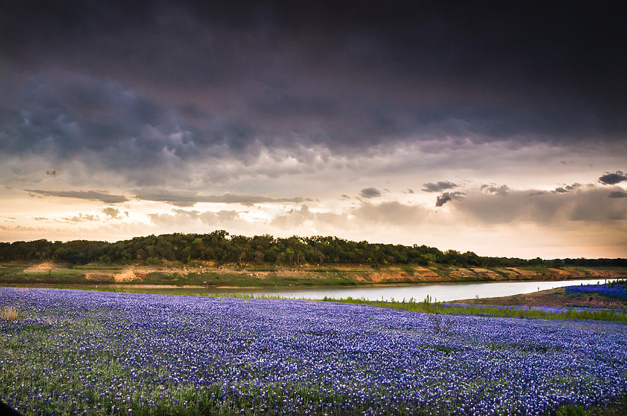 Storm over Wildflower Field Photograph by Ellie Teramoto