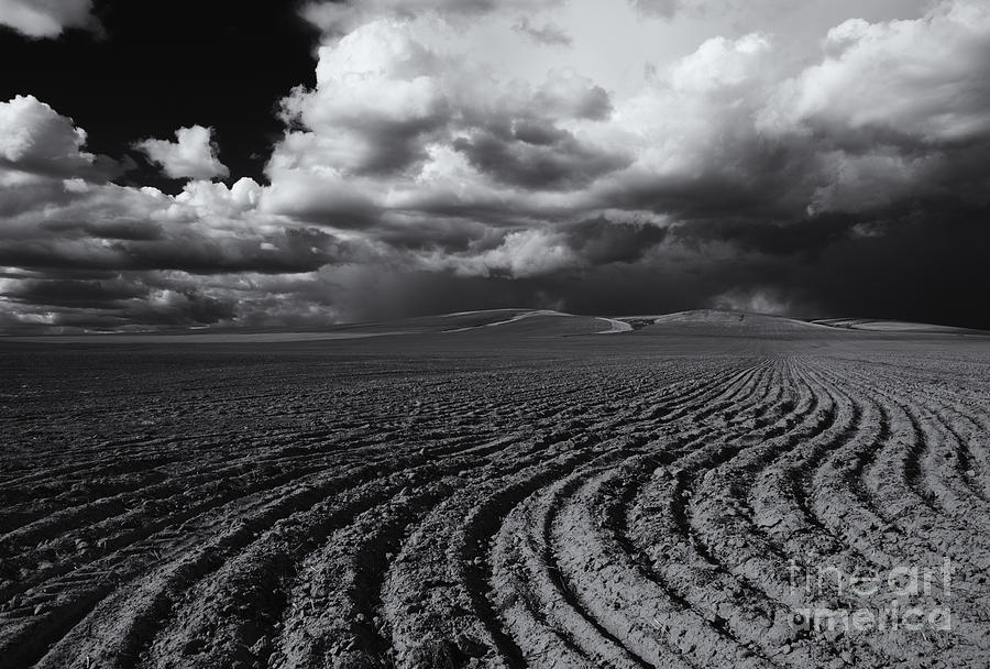 Storm Path Photograph by Michael Dawson