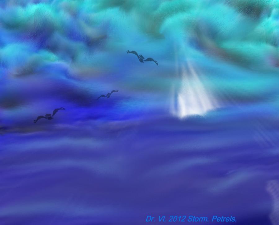Storm.Petrels. Digital Art by Dr Loifer Vladimir