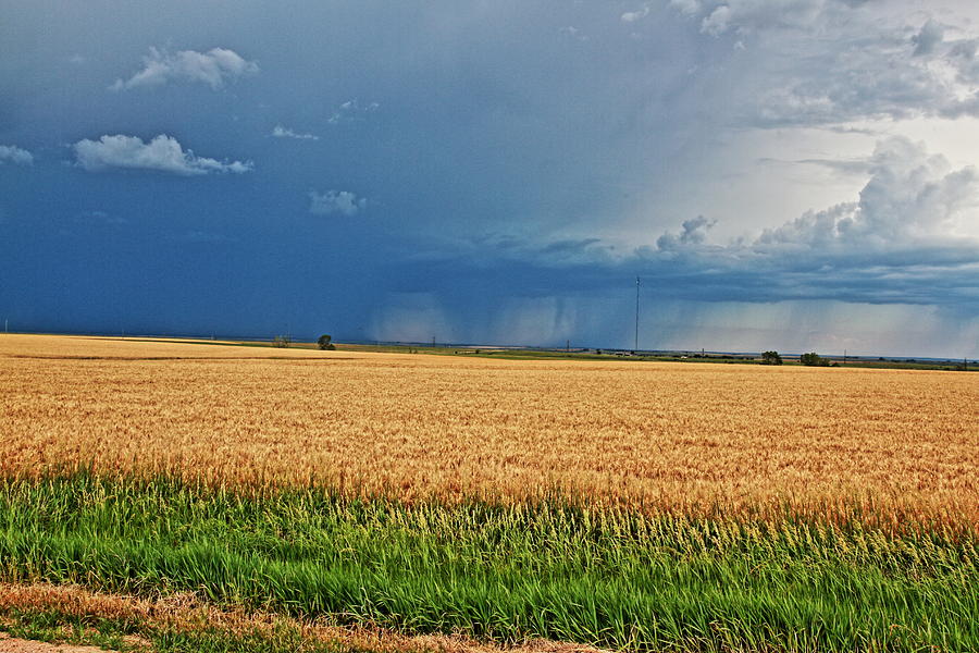 Wheat Photograph - Storms On The Plains by Jason Drake