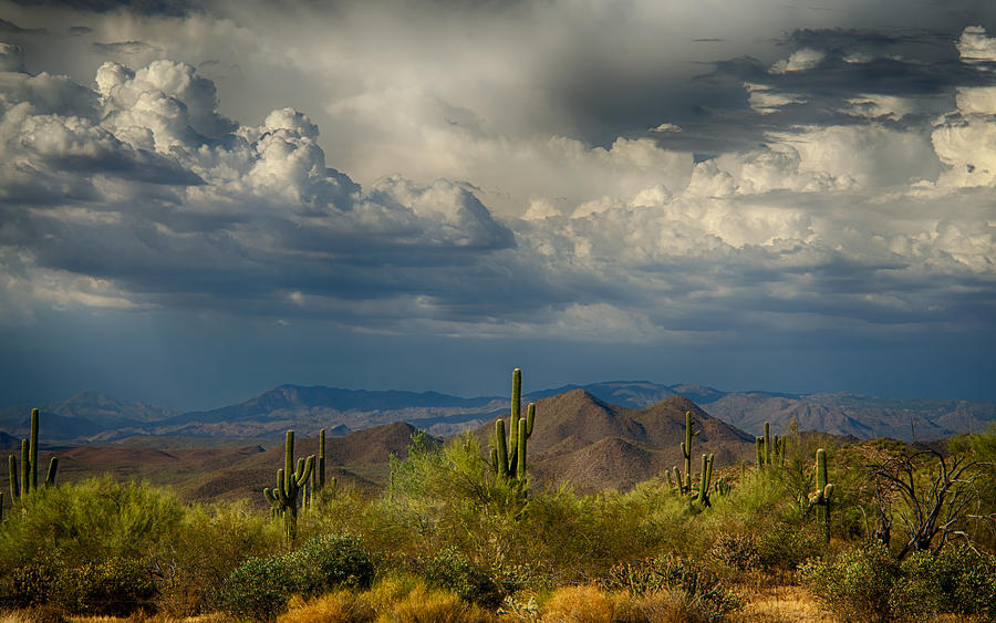 Storms Over the Sonoran Desert  Photograph by Saija Lehtonen