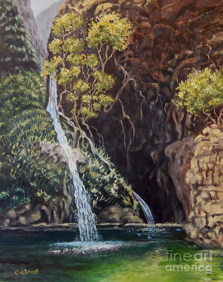 Tree Painting - Storms River Cape by Caroline Street
