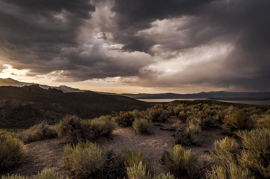 Mountain Photograph - Stormy Day at Mono Lake by Cat Connor