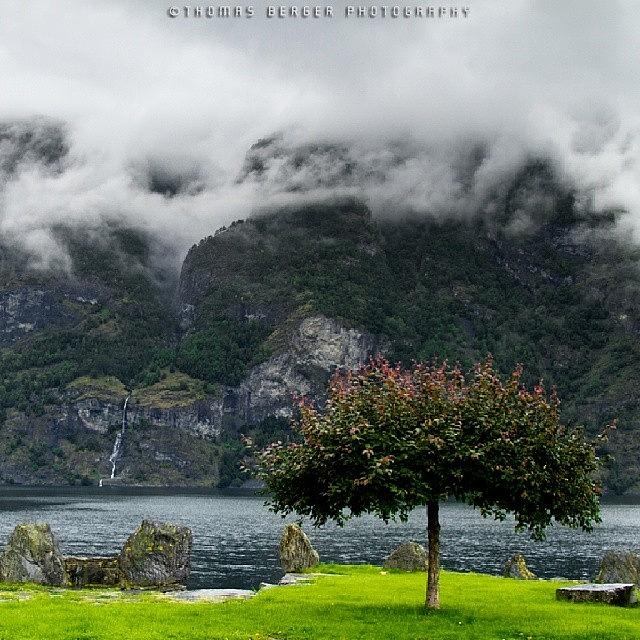 Norway Photograph - Stormy Day In The Mountains by Thomas Berger