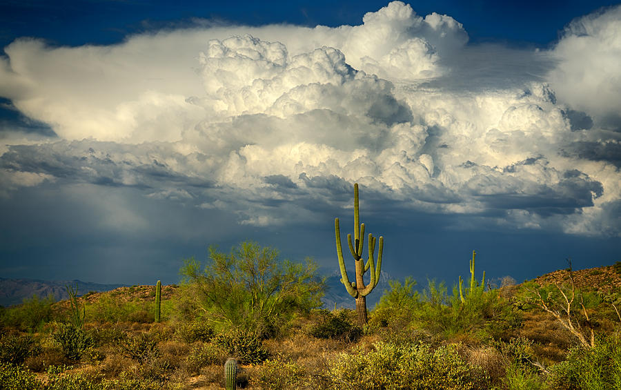 Stormy Desert Skies  Photograph by Saija Lehtonen
