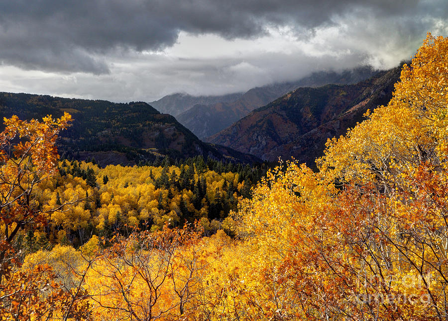 Stormy Fall along the Alpine Loop - Utah Photograph by Gary Whitton