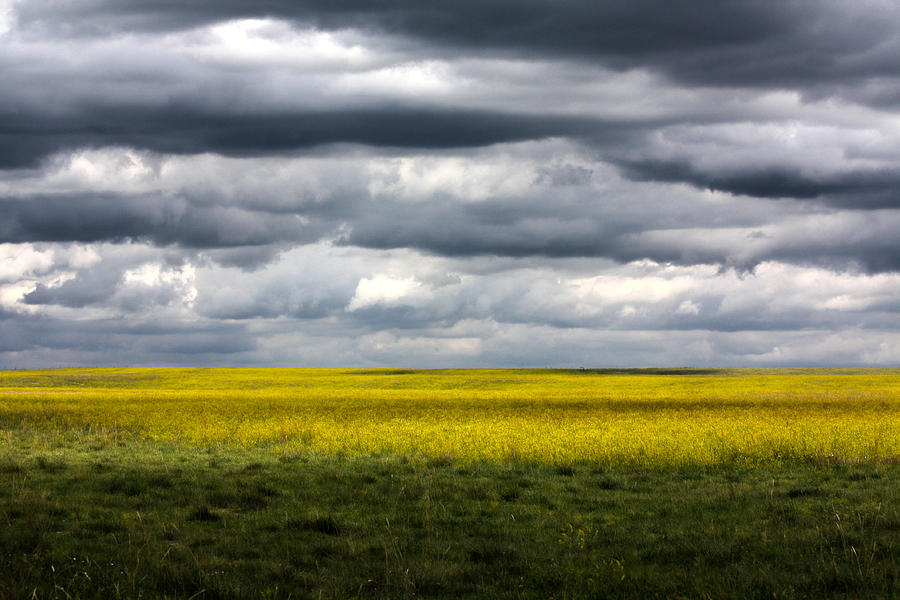 Stormy Plains Photograph by Shane Bechler