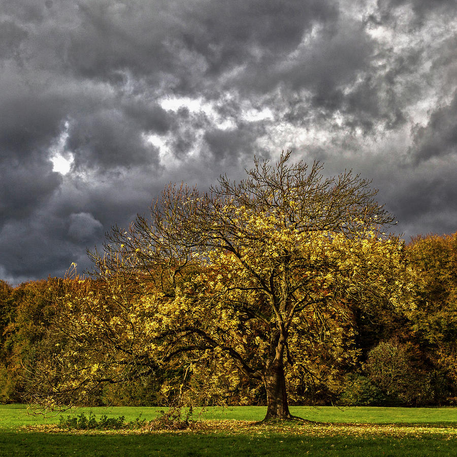 Stormy Photograph by Reinhard Goldmann
