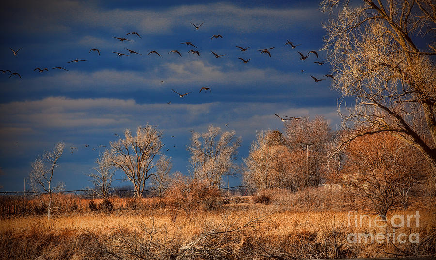 Farm Photograph - Stormy Rural Nebraska by Elizabeth Winter