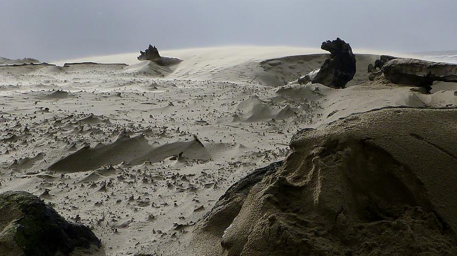 Stormy Sand Sculptures Photograph by Susan Garren