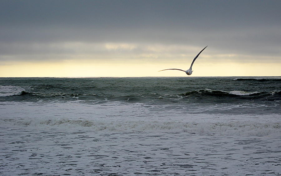 Stormy Seas Photograph by AJ  Schibig