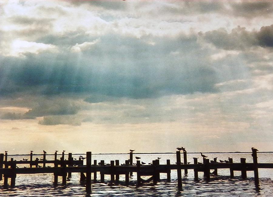 Stormy Sun Rays over Birds on Pier Photograph by Belinda Lee
