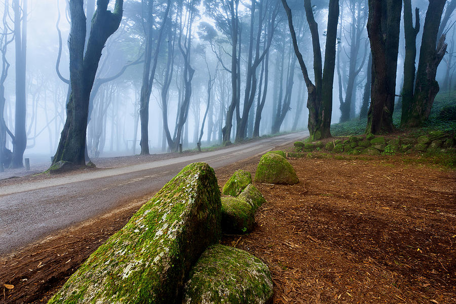 Storybook tale Photograph by Jorge Maia