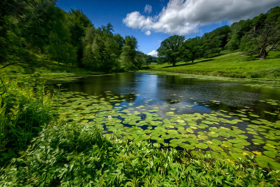 Abstract Photograph - Stourhead lake by Roger Nichol
