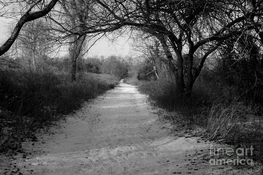 Straight Path Unlike My Life Photograph by Steven Macanka