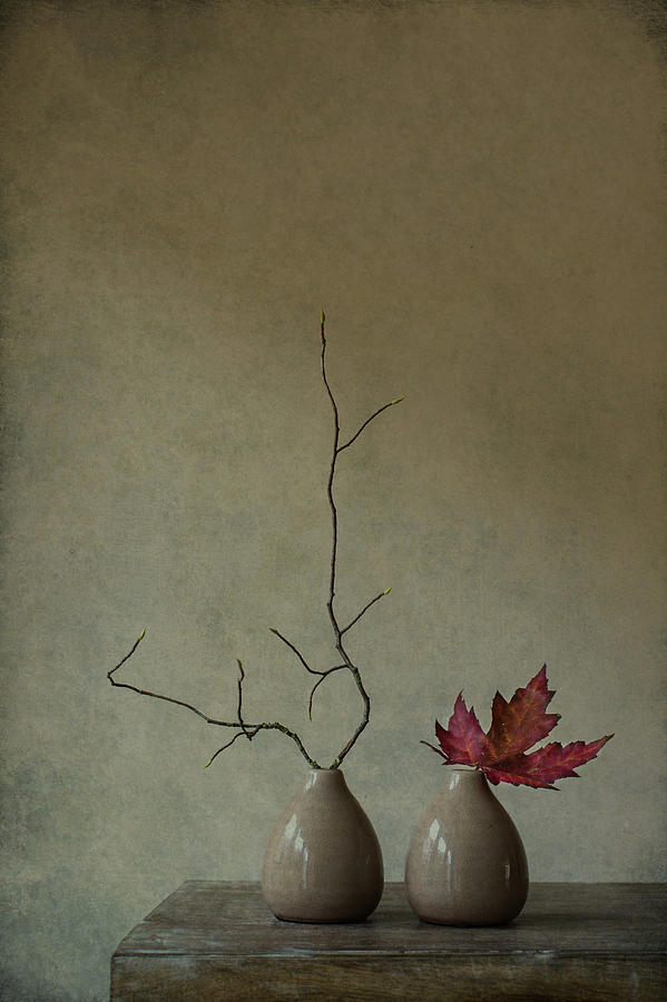 Vase Photograph - Strange Companions by Galina Bunkova