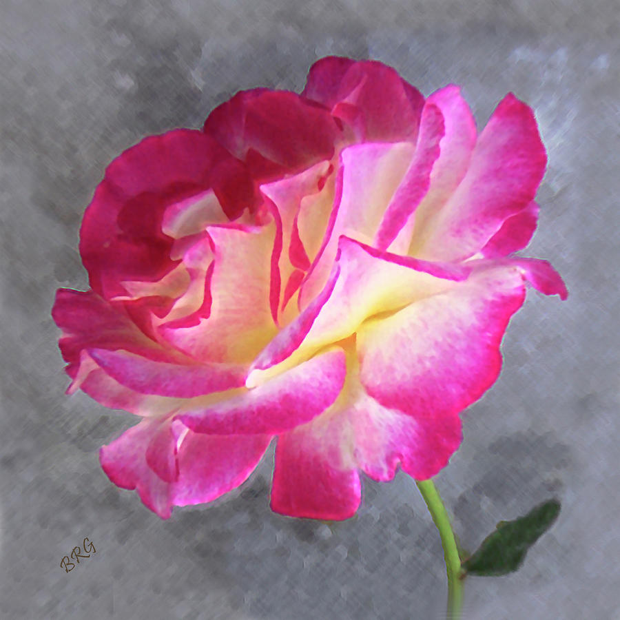 Strange Rose Photograph