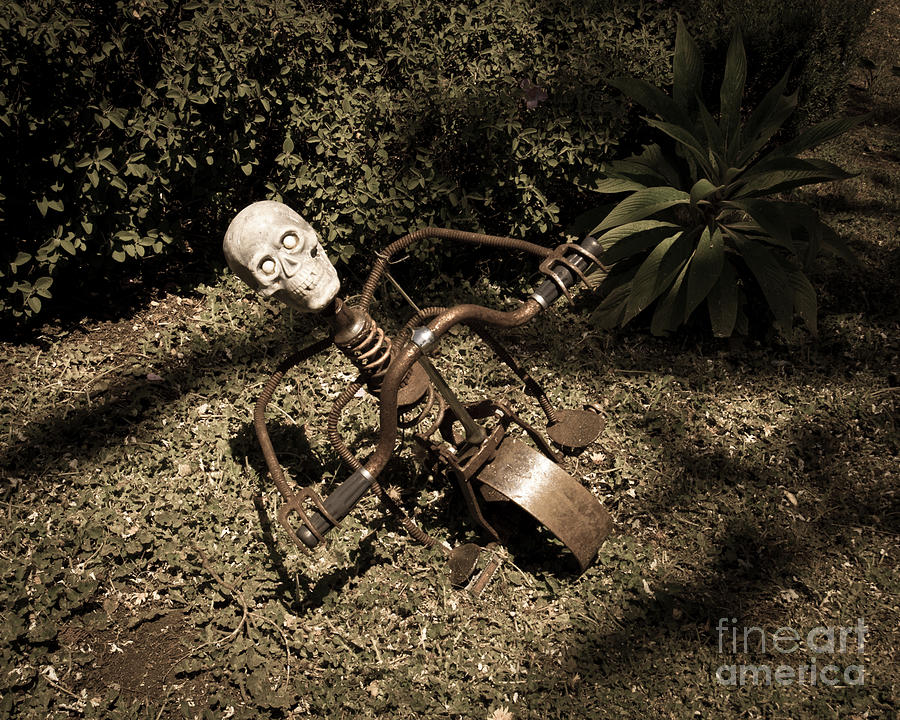 Strange Skull Photograph by Blake Webster