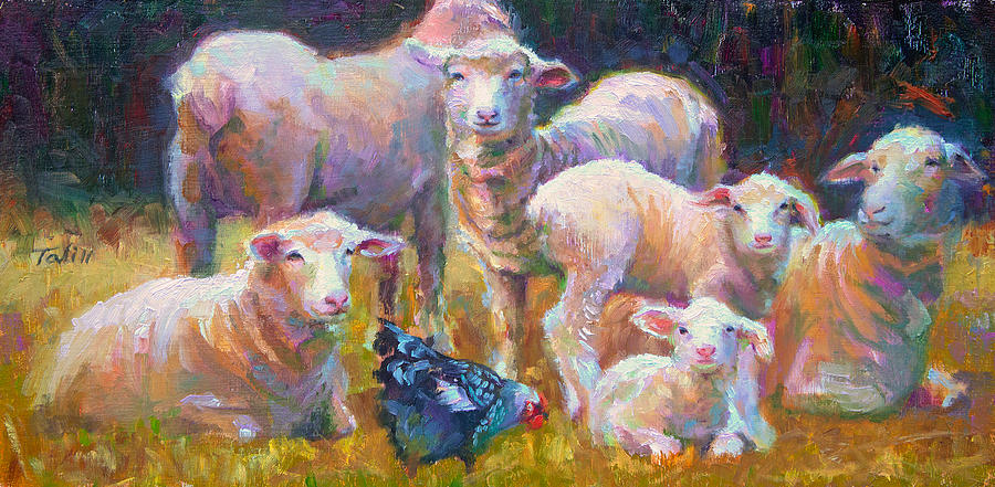Stranger at the Well - spring lambs sheep and hen Painting by Talya Johnson