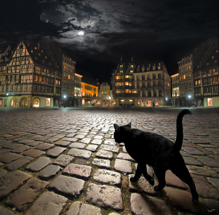 Strasburg Photograph - Strasbourgs night by Igor Zenin Strasburg Photograph - Strasbourgs night by Igor Zenin