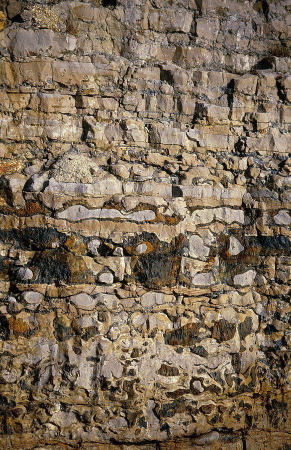 Strata In A Limestone Cliff Photograph By Dr Morley Readscience Photo