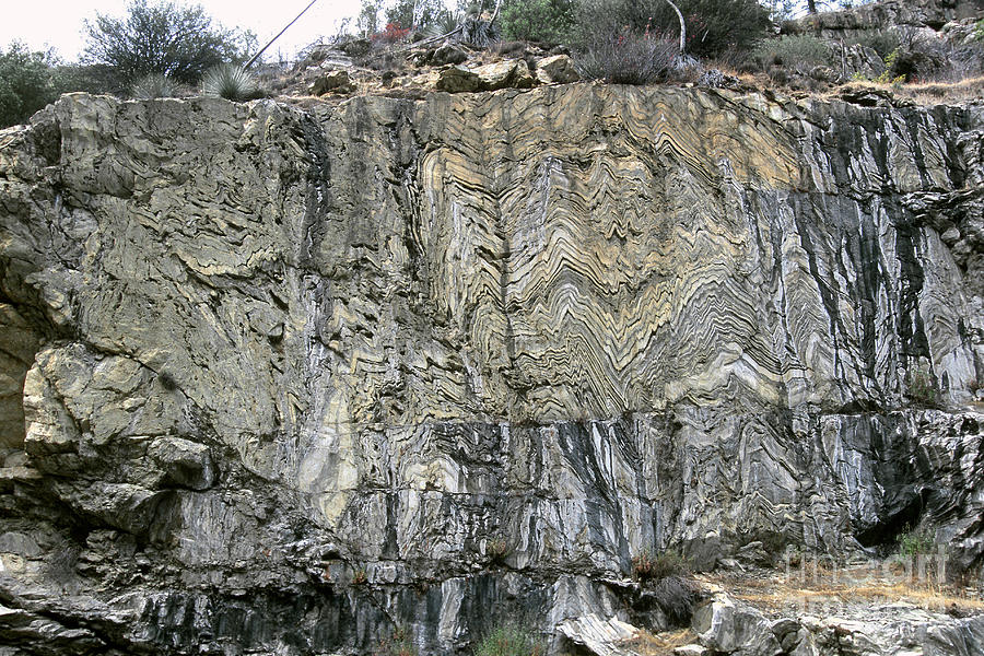 Geology Photograph - Strata Of Metamorphic Rocks by Gregory G. Dimijian, M.D.
