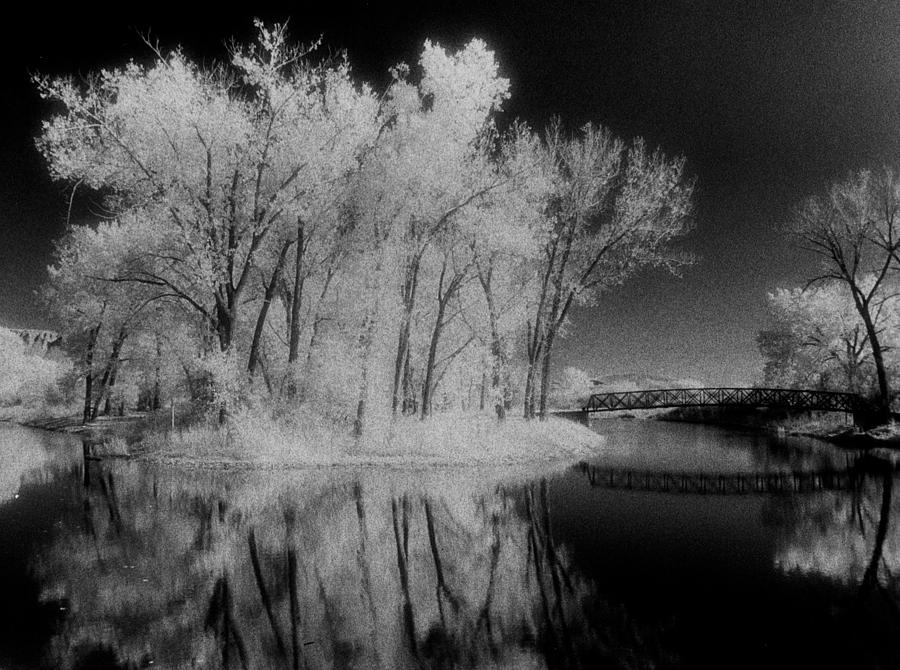 Strathcona Island Park Photograph by Len Moser - Fine Art America