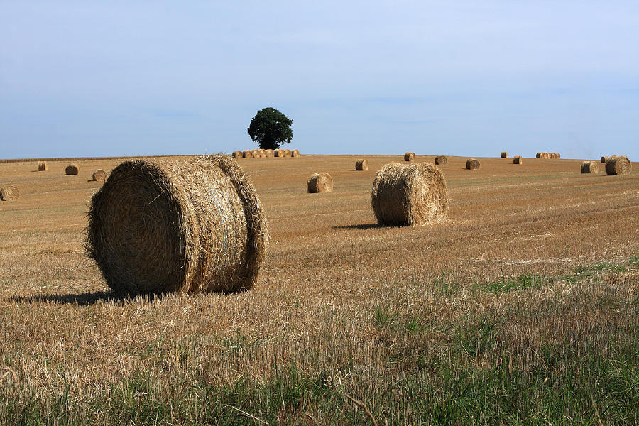 Rural French Landscape Photograph by Aidan Moran