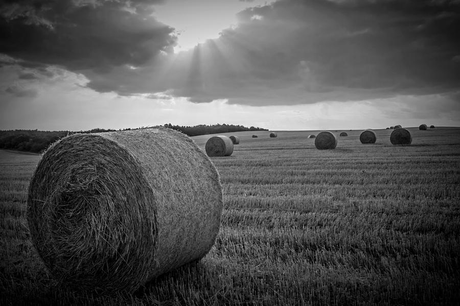 Straw Bales and Sunrays BW Photograph by David Dehner