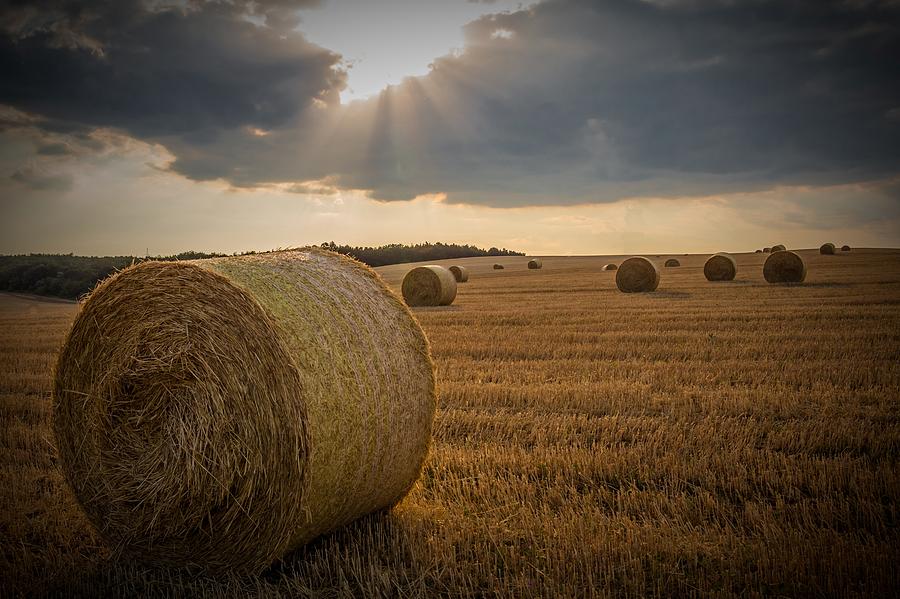Straw Bales and Sunrays  Photograph by David Dehner
