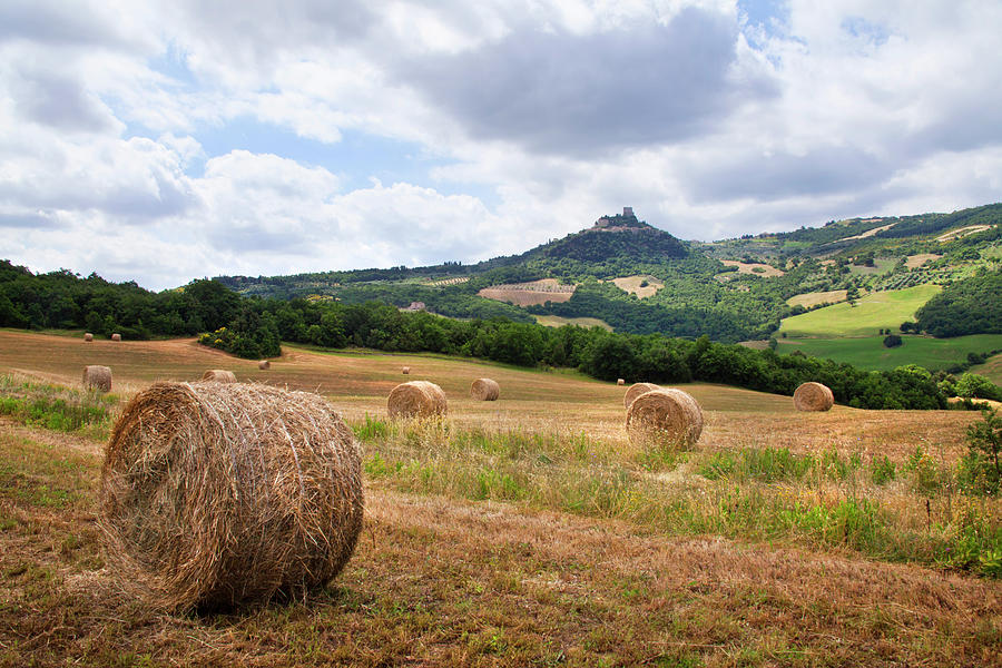 Straw Bales In An Italian Tuscan Photograph by Andrew Bret Wallis