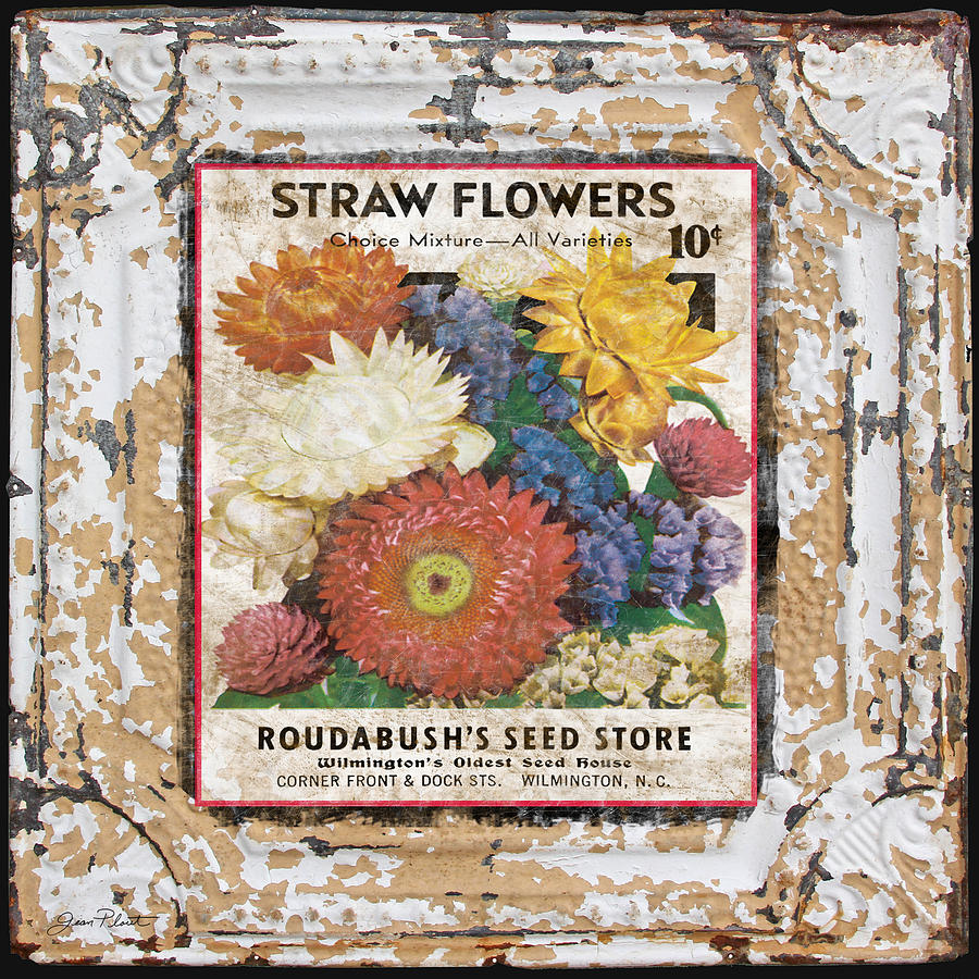 Straw Flowers on Vintage Tin Digital Art by Jean Plout