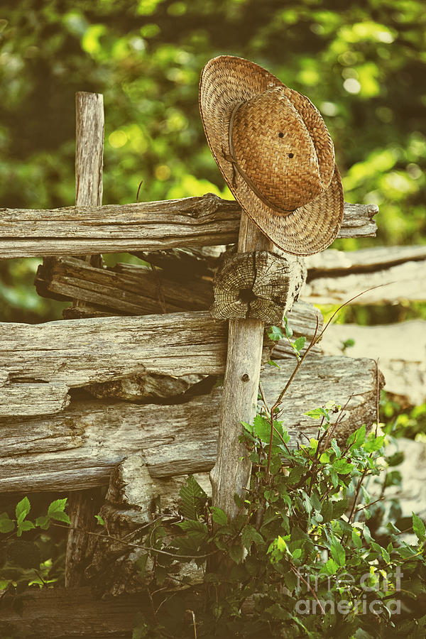Nature Photograph - Straw hat hanging on fence by Sandra Cunningham