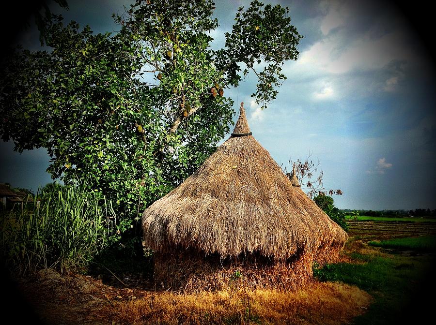 Straw Hut Photograph By Tobias Pino - Pixels