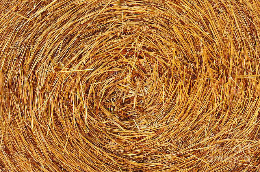 Straw Texture Photograph by Carlos Caetano