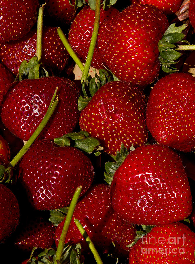 Strawberries   #739 Photograph by J L Woody Wooden