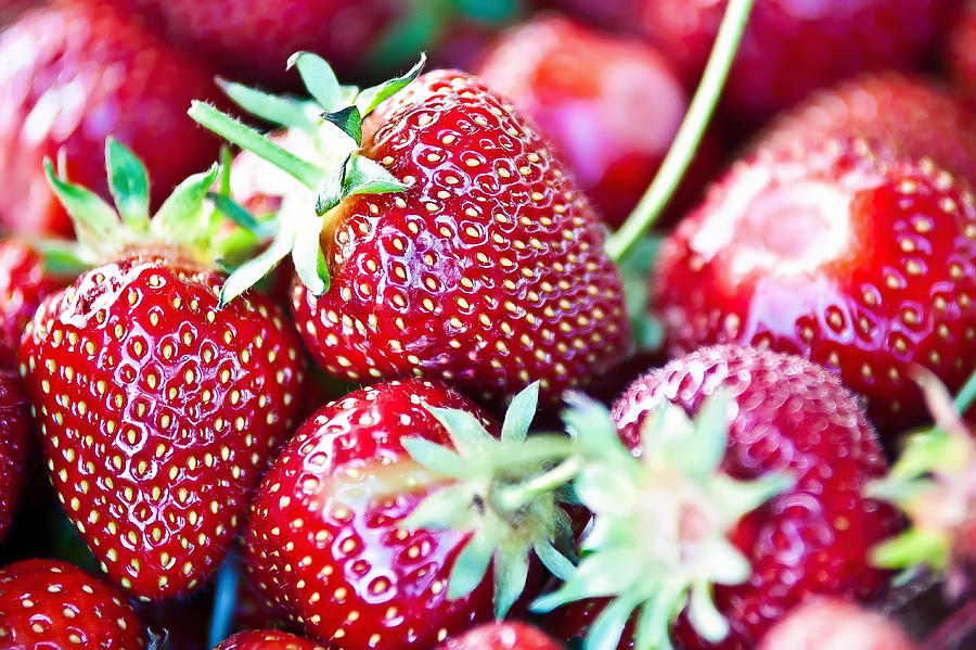 Strawberries Photograph by Alex Grichenko