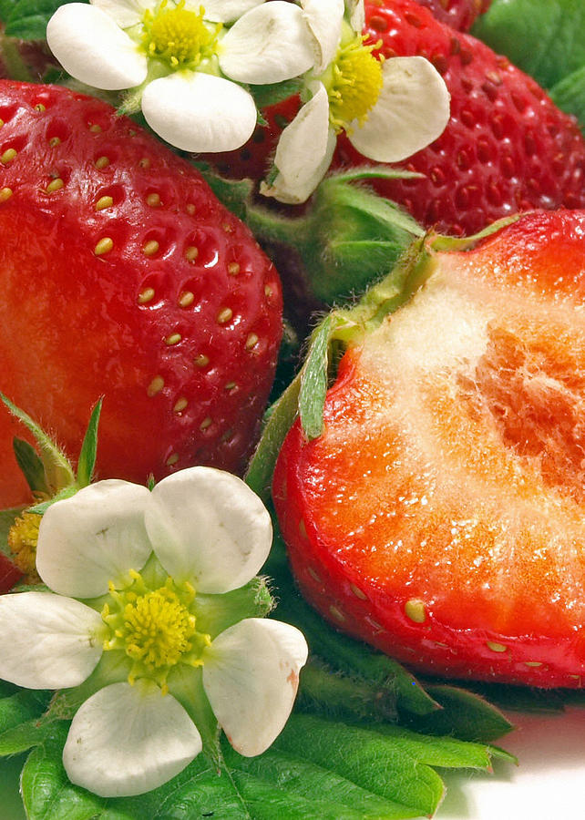 Strawberries and Vanilla Photograph by Munir Alawi