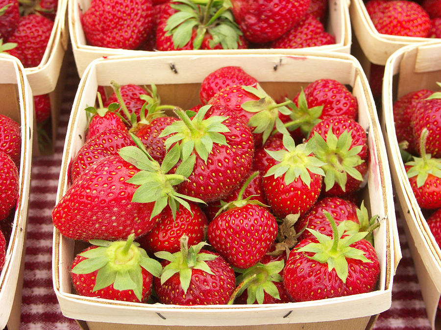 Strawberries Photograph by Bonnie Sue Rauch