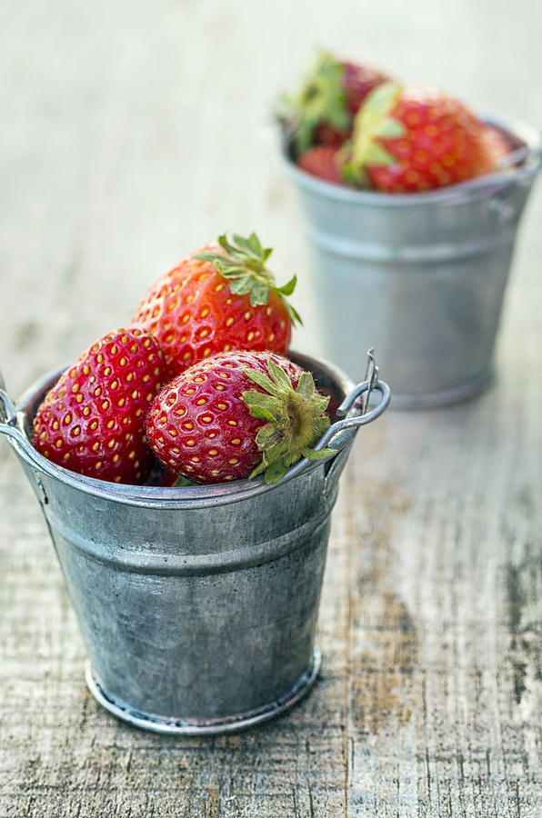 Strawberries in pots Photograph by Paulo Goncalves