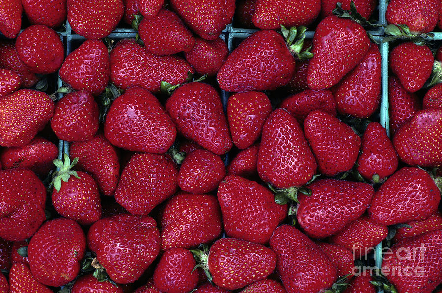 Strawberries Photograph by Jim Corwin