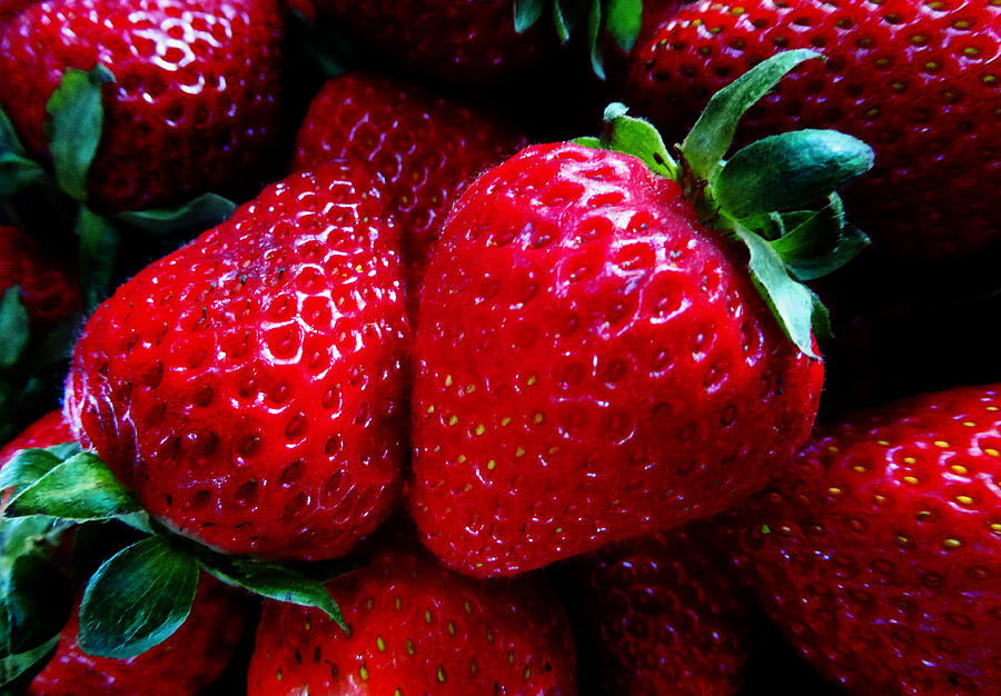 Strawberries Photograph by Laurie Tsemak