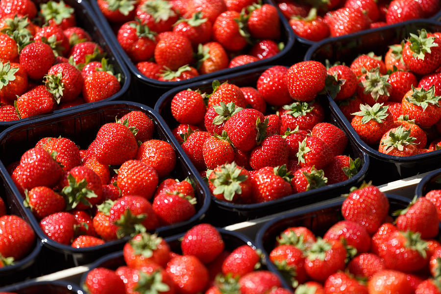 Strawberries Photograph By Paul Indigo - Fine Art America