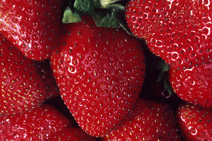 Strawberries Photograph by Robert J. Erwin