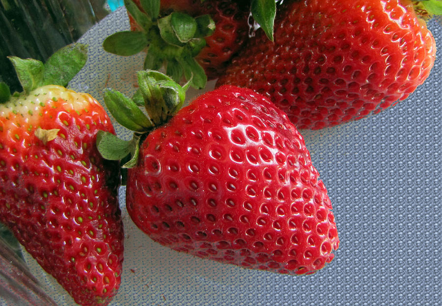 Strawberries Photograph by Tikvahs Hope
