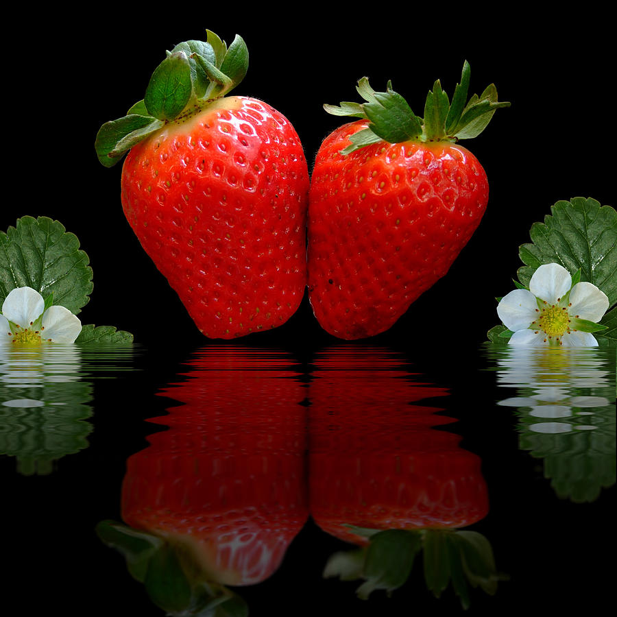 Strawberries Photograph